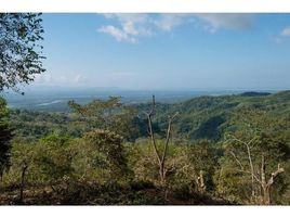  Land for sale in Osa, Puntarenas, Osa