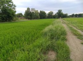  Grundstück zu verkaufen in Sai Noi, Nonthaburi, Sai Noi