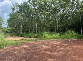  Land for sale in Vietnam, Minh Thanh, Dau Tieng, Binh Duong, Vietnam