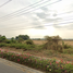  Land for sale in Manorom, Chai Nat, Khung Samphao, Manorom