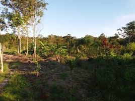  Grundstück zu verkaufen in Novo Aripuana, Amazonas, Novo Aripuana, Novo Aripuana, Amazonas, Brasilien