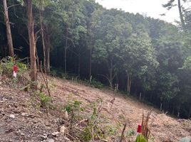  Land for sale in Ko Lanta, Krabi, Ko Lanta Noi, Ko Lanta