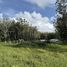  Land for sale in Si Sunthon, Phuket, Si Sunthon, Thalang, Phuket