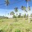  Land for sale in Maenam, Koh Samui, Maenam