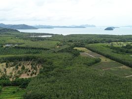  Grundstück zu verkaufen in Thalang, Phuket, Thep Krasattri