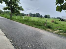  Land for sale in Chiang Mai, Samran Rat, Doi Saket, Chiang Mai