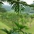 3 Schlafzimmer Haus zu verkaufen in Turrialba, Cartago, Turrialba