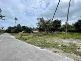  Land for sale in Surat Thani, Bo Phut, Koh Samui, Surat Thani