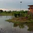  Land for sale in Buri Ram, Khu Mueang, Khu Mueang, Buri Ram