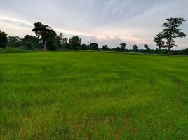  Grundstück zu verkaufen in Loeng Nok Tha, Yasothon, Sam Yaek, Loeng Nok Tha