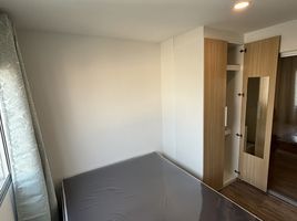 1 Schlafzimmer Wohnung zu vermieten im Sena Kith Srinakarin - Sridan, Samrong Nuea