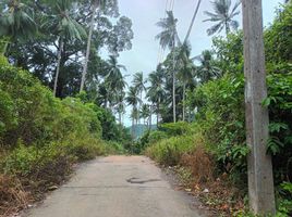  Grundstück zu verkaufen in Koh Samui, Surat Thani, Maret