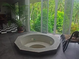 3 Schlafzimmer Haus zu verkaufen in Ko Pha-Ngan, Surat Thani, Ko Pha-Ngan, Ko Pha-Ngan, Surat Thani