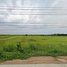  Land for sale in Chachoengsao, Tha Thong Lang, Bang Khla, Chachoengsao