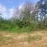  Land for sale in Phuket, Pa Khlok, Thalang, Phuket