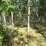  Land for sale in Thep Krasattri, Thalang, Thep Krasattri