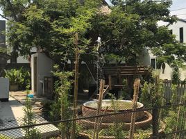 4 Schlafzimmer Haus zu vermieten in Chiang Mai, Nong Chom, San Sai, Chiang Mai