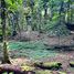  Land for sale in Pococi Limon, Pococi, Limon