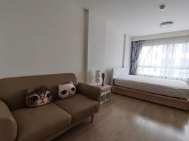 1 Bedroom Condo for rent at Elio Del Ray, Bang Chak, Phra Khanong, Bangkok