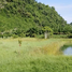  Land for sale in Sichon, Nakhon Si Thammarat, Sao Phao, Sichon