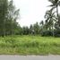  Land for sale in Takua Pa, Phangnga, Bang Muang, Takua Pa