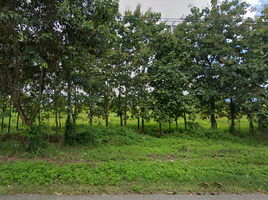  Grundstück zu verkaufen in Mueang Phayao, Phayao, Mae Puem