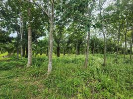  Land for sale in Thep Krasattri, Thalang, Thep Krasattri