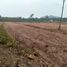  Land for sale in Nong Suea Chang, Nong Yai, Nong Suea Chang