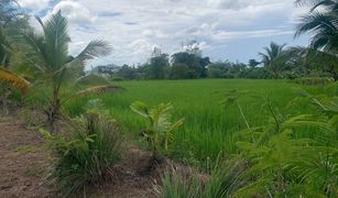 N/A Land for sale in Cho Lae, Chiang Mai 