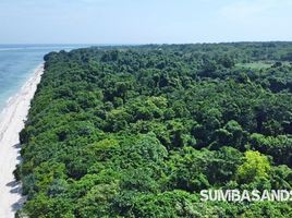  Land for sale in Sumba Barat East Nusa Tenggara, Kodi, Sumba Barat, East Nusa Tenggara, Indonesia