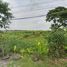  Land for sale in Lahan, Bang Bua Thong, Lahan