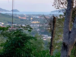  Grundstück zu verkaufen in Phuket Town, Phuket, Wichit