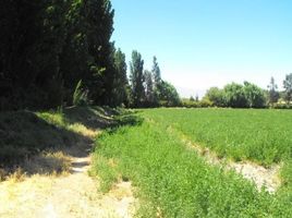  Grundstück zu verkaufen im Colina, Colina, Chacabuco, Santiago, Chile