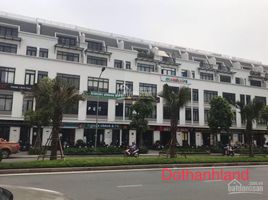 Studio Villa zu verkaufen in Tu Liem, Hanoi, Cau Dien, Tu Liem