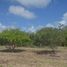  Land for sale in Maceio, Fortim, Maceio