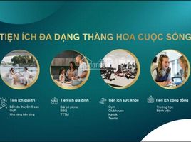 Studio Villa zu verkaufen in Long Thanh, Dong Nai, Long Hung, Long Thanh, Dong Nai