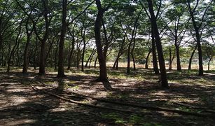 N/A Land for sale in Nong Lalok, Rayong 