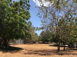  Land for sale in San Carlos, San Carlos, San Carlos