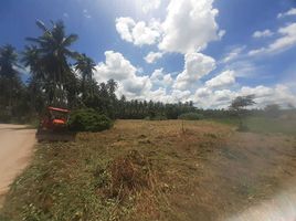  Land for sale in Bang Saphan, Prachuap Khiri Khan, Thong Chai, Bang Saphan