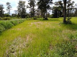  Land for sale in Chonnabot, Khon Kaen, Kut Phia Khom, Chonnabot