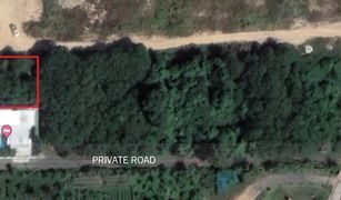 Rawai, ဖူးခက် Land Plot Tala in Rawai တွင် N/A မြေ ရောင်းရန်အတွက်