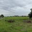 ขายที่ดิน ใน บึงบอน, ปทุมธานี, บึงบอน