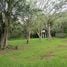  Land for sale in Los Chiles, Alajuela, Los Chiles