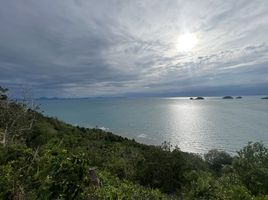  Grundstück zu verkaufen in Koh Samui, Surat Thani, Taling Ngam