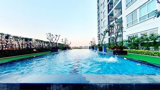 3D视图 of the Communal Pool at Supalai Monte 2