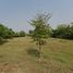  Land for sale in Sam Ruean, Mueang Ratchaburi, Sam Ruean