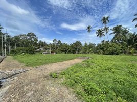  Land for sale in Maenam Beach, Maenam, Maenam