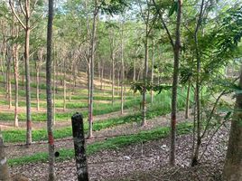  Land for sale in Laguna Beach, Choeng Thale, Choeng Thale