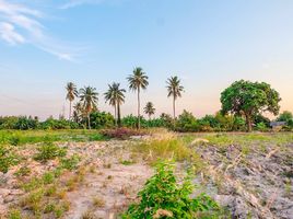  Land for sale in Wang Phong, Pran Buri, Wang Phong