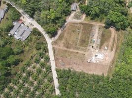  Land for sale in Thai Mueang, Phangnga, Na Toei, Thai Mueang